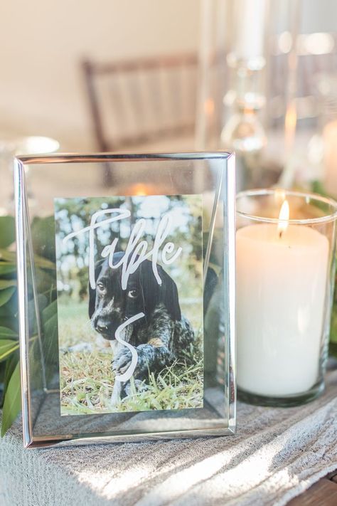 Photo Wedding Centerpieces, Framed Table Numbers Wedding, Table Number Frames, Dog Wedding Photos, Wedding Photo Table, Photo Centerpieces, Photo Table Numbers, Different Photos, Dog Table