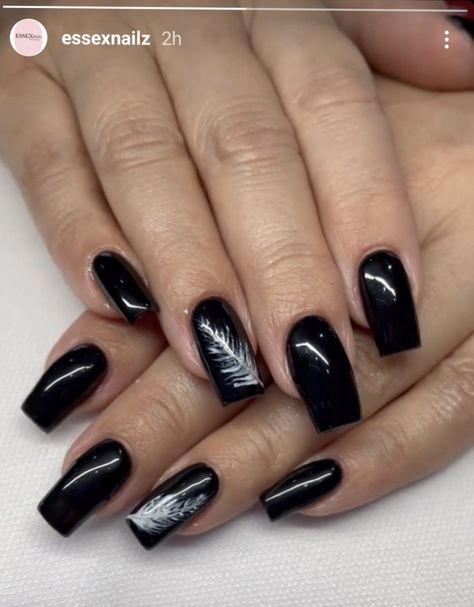 Black acrylic nails with a white feather design on ring finger Feather Nail Design, Feather Nail Designs, Feather Nail, Feather Nails, Ombré Nails, Black Acrylic Nails, Pink Ombre Nails, Black Nail Designs, Feather Design