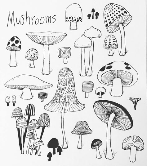 Drawing Ideas Easy Doodles, Poisonous Mushrooms, Mushroom Drawing, Easy Doodles, Drawing Ideas Easy, Mushroom Art, Doodle Art Designs, Flower Doodles, Journal Doodles