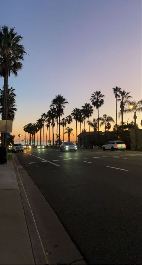 #beachlife #beach #sunset #palmtrees #latenight #sunsetphotography #california #cali #aesthetic #1 #sunsetpics California Aesthetic Pictures, Y2k California Aesthetic, Cali Astethic, Cali Life Style, North California Aesthetic, Malibu Beach Aesthetic, 2016 California Aesthetic, Carlsbad California Aesthetic, Night California Aesthetic