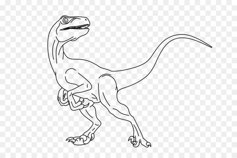 Velociraptor Drawing, Velociraptor Tattoo, Velociraptor Blue, Raptor Dinosaur, Dinosaur Dinosaur, Dinosaur Tattoos, Letter Ideas, Dinosaur Drawing, Dinosaur Pictures