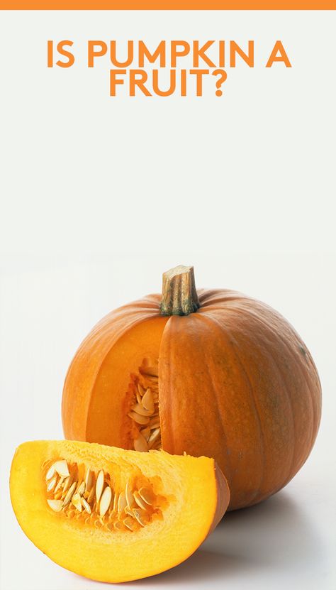 Is Pumpkin a Fruit? | Learn whether pumpkins are gourds or squash—and why they’re actually a fruit and not a vegetable. Plus, learn about the health benefits. Pumpkin Fruit, Pumpkin Vegetable, Fruit Or Vegetable, Fall Produce, A Fruit, Design Packaging, School Art, A Pumpkin, Design Reference