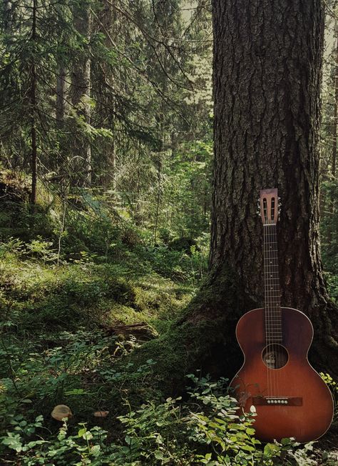 Guitar in the forest. Fotograf Forest Album Cover, Into The Woods Aesthetic Musical, Playing Guitar In Nature, Nathan Core, Indie Music Aesthetic, Indie Folk Music, Guitar Images, Rock Aesthetic, Hippie Aesthetic