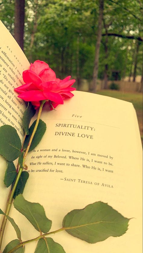 a quote from bell hooks’ all about love with a rose tucked into the book spine Bell Hooks Aesthetic, All About Love Bell Hooks Aesthetic, Rose Core Aesthetics, Rose Garden Quotes, Quotes Cottagecore, Rosé Core Aesthetic, Rose Garden Aesthetic, Heidi Core, Bell Hooks Quotes