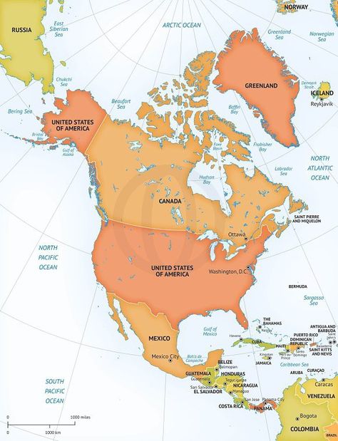 Vector map continent North America #vectormap Map Of Continents, North America Continent, Continent Map, Time Zone Map, Parent Functions, Map Of North America, Los Angeles Map, Word Family Worksheets, Family Worksheet