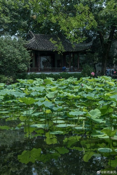 Chinese Countryside, Crimson Flower, Countryside Aesthetic, Japanese Countryside, House Lake, Painting References, Asian Architecture, Chinese Garden, Fictional World