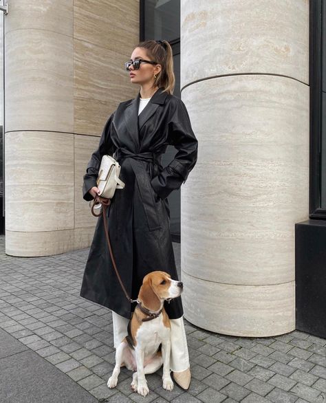 Beagle Outfits, Urban Dog, Photos With Dog, Walking Outfits, Dog Business, Elegante Y Chic, Cute Beagles, Dog Photoshoot, City Dog