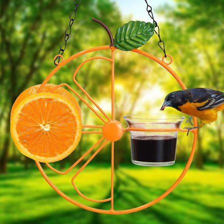 Bird watcher gifts