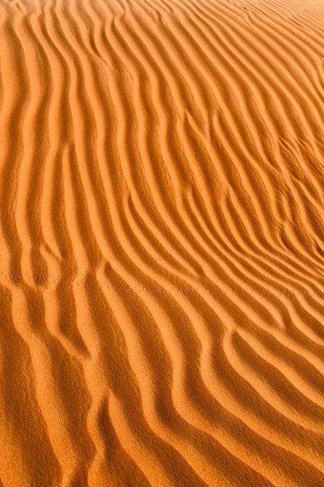 A desert is a vast landscape characterized by extreme dryness. With scarce rainfall and scorching temperatures, these arid regions support unique ecosystems adapted to survive harsh conditions. Sparse vegetation, sculpted sand dunes, and rocky terrains paint a picturesque yet challenging desert landscape. Desert Top View, Vast Landscape, Desert Landscape, Desert Landscaping, Sand Dunes, Top View, Rocky, Paint