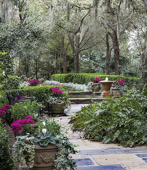 Garden Corner Ideas, Huntsville Botanical Gardens, Birmingham Botanical Gardens, Aquatic Garden, Garden Decoration Ideas, Corner Ideas, Garden Corner, Garden Makeover, Cottage In The Woods