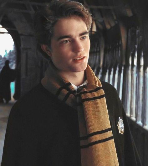 Cedric Diggory Aesthetic, Hufflepuff Aesthetic, Harry Potter Icons, The Goblet Of Fire, Hogwarts Aesthetic, Goblet Of Fire, Cedric Diggory, Harry Potter Cast, Harry Potter Wallpaper