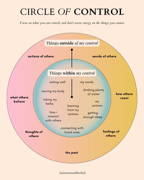 Circles Of Control, My Circle Of Control, Dealing With Change, Circle Of Influence, Letting Go Of Control, Circle Of Control, Let Go Of Control, Coaching Resources, Psychology Notes