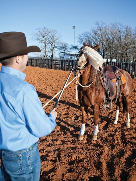 Question Of The Week, Equestrian Helmets, Natural Horsemanship, Equestrian Helmet, Horse Training Tips, Horse Tips, Horse Horse, English Riding, Equestrian Boots