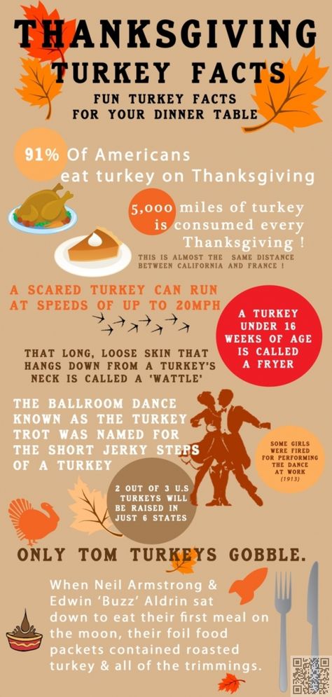 #Create the Perfect Meal with These Thanksgiving Dinner Infographics ... Thanksgiving Infographic, Thanksgiving Fun Facts, Turkey Facts, Facts Infographic, Dinner Planner, Thanksgiving Facts, Medium Readings, Thanksgiving Travel, Clever Classroom