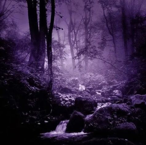 Widget Purple Aesthetic, Whimsigoth Widgets, Shadowy Aesthetic, Purple Goth, Purple Gothic, Dark Purple Wallpaper, Violet Aesthetic, Lavender Aesthetic, Just Live