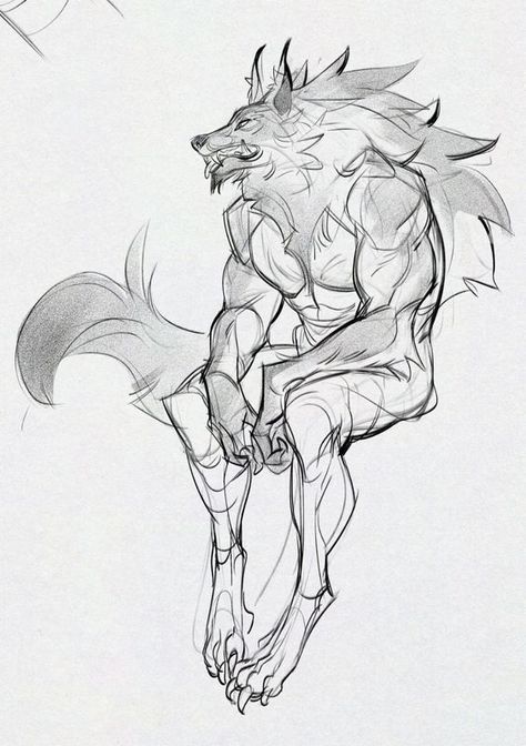 Werewolf Study, Kimono Reference, Female Werewolf, Werewolf Drawing, Drawing Refrences, Werewolf Art, Animal References, Canine Art, Creature Drawings