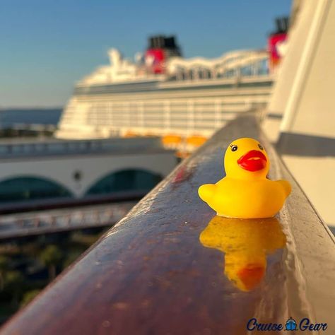 Cruising Ducks - Everything you need to know about ducks on a cruise! #cruisingducks #cruise Toddler Boy Toys, Duck Photo, Baby Shower Duck, Msc Cruises, Rubber Ducks, Holland America, Norwegian Cruise Line, Celebrity Cruises, Princess Cruises