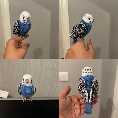 Free Crochet Patterns, Amigurumi & Crafters on the Tedooo App | I made some budgies 🥺🥰 I used a YouTube video but they did slipstitch then single crochet after each round and my first attempt was awful 🙈 | Facebook Budgie Crochet, Free Crochet Patterns Amigurumi, 2024 Crochet, Amigurumi Free, Free Crochet Patterns, Amigurumi Free Pattern, Crochet Patterns Amigurumi, Single Crochet, Youtube Video