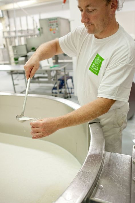 Each of our unique cheeses is handcrafted by our Head #Cheesemaker, Paul Sutter, at our #cheese factory in #Courtenay (a federally inspected CFIA facility). From milk delivery to testing and pasteurization, Paul guides the #cheesemaking process from its very first stages. Follow the link to learn more about the steps involved in our artisanal cheesemaking. #NaturalPastures #ArtisanCheese #Fromagerie #BCDairy #CanadianDairy #CanadianCheese #BCFood #BuyBC #CourtenayBC #ComoxValley #VancouverIsland Cheese Making Process, Milk Delivery, Cheese Factory, Cheese Maker, Cheese Making, Artisan Cheese, Big Muscles, Soft Cheese, How To Make Cheese