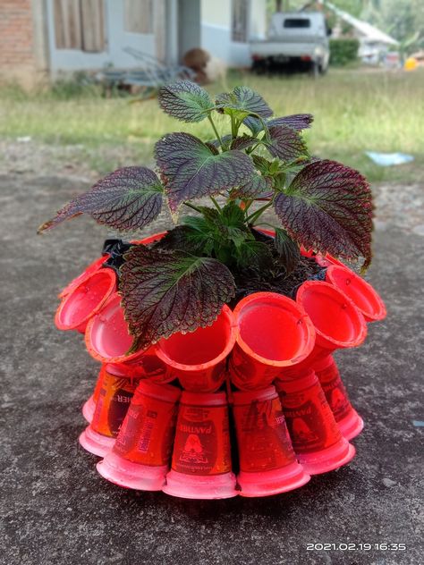 Plastic Bottle Flower Pot, Diy Botol Plastik, Flower Pot From Plastic Bottle, Recycled Flower Pots Plastic Bottles, Tong Sampah, Garden Beds, Recycling