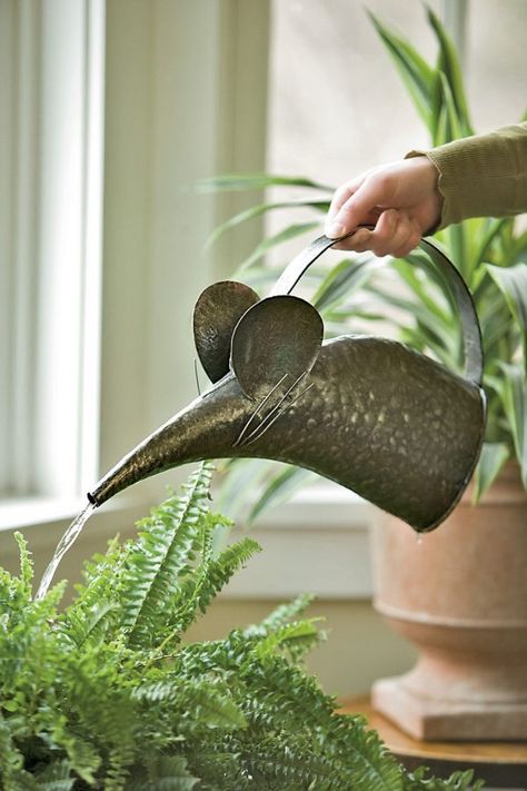 36 Unique Watering Cans That Also Serve As Decorative Items Metal Watering Can, Keramik Design, Shade Garden, Watering Can, Garden Supplies, Dream Garden, Indoor Garden, Organic Gardening, Green Thumb