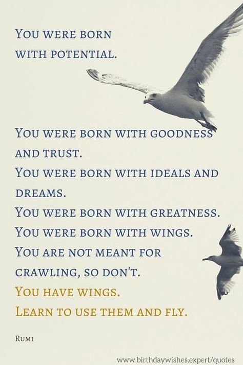 Rumi - wings Birthday Wishes Spiritual, Spiritual Birthday Wishes, Spiritual Poems, Rumi Poem, Rumi Poetry, Birthday Poems, Happy Birthday Wishes Cards, Buddhist Quotes, Best Birthday Wishes