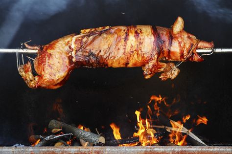 Five Tips For How To Cook An Animal (Whole) Pig Roast Party, Bbq Pitmasters, Smoker Cooking, Chicken And Biscuits, Pig Roast, Grilling Tips, Edible Arrangements, Man Food, Best Bbq