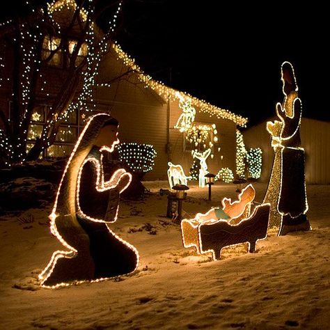 Christmas nativity scene Outdoor Christmas Light Displays, Outdoor Nativity Scene, Trip To Egypt, Outdoor Nativity, St Francis Of Assisi, Nativity Scenes, Christmas Light Displays, The Nativity, Christmas Nativity Scene