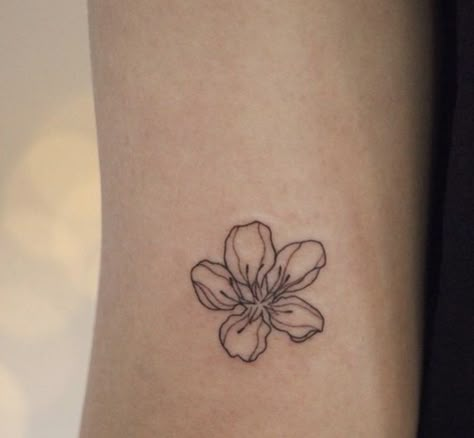 Vietnamese Mai Flower Tattoo, Ilima Flower Tattoo, Filipino Sampaguita Tattoo, Sampaguita Tattoo Minimalist, Bauhinia Flower Tattoo, Gumamela Tattoo, Waist Flower Tattoo, Bauhinia Tattoo, Mugunghwa Tattoo