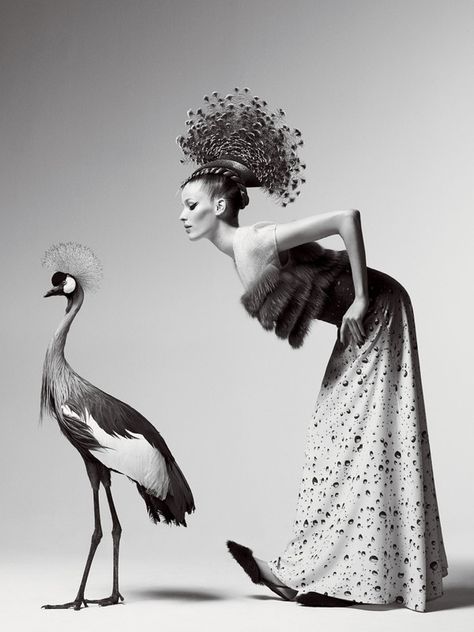 Editorial Vogue, Photo Hacks, Mode Editorials, Robert Mapplethorpe, Cecil Beaton, Tim Walker, Vogue Us, Foto Art, Fashion Photography Editorial