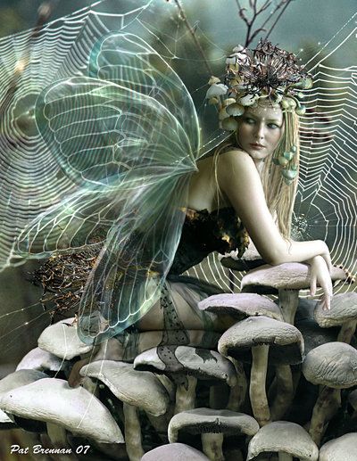 Thomas Carlyle, Fairy Illustration, Fairy Dragon, Fairy Pictures, Love Fairy, Fairies Elves, Fairy Magic, Beautiful Fairies, Fantasy Fairy