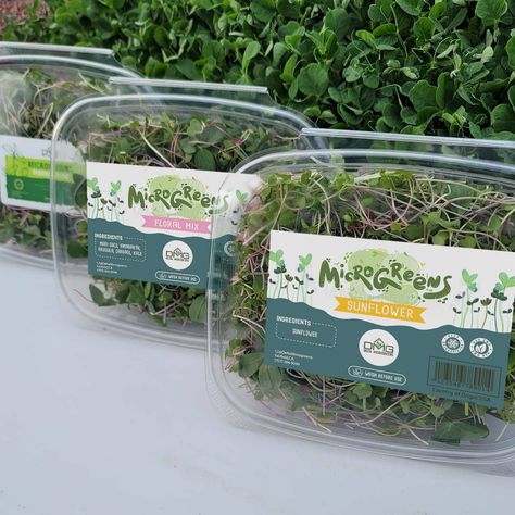 Micro greens label design | 99designs Micro Greens Packaging, Microgreens Packaging, Vegetable Packaging, Micro Greens, Box Sticker, Product Packaging, Hydroponics, Label Design, Salad