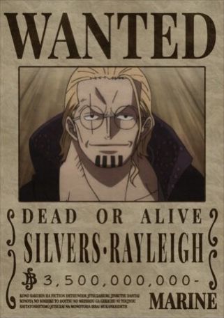 Wanted One Piece, Silvers Rayleigh, One Piece Ep, One Piece Bounties, رورونوا زورو, Anime Picture Hd, One Piece Photos, One Piece Tattoos, One Piece Cartoon