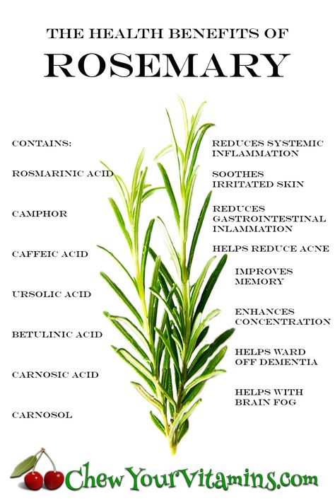 The health benefits of rosemary. Herb Benefits Natural Remedies, Rosemary Uses Health, Health Benefits Of Rosemary, Rosemary Tincture Benefits, Rosemary Tea Benefits, Rosemary Uses, Rosemary Health Benefits, Rosemary Benefits, Benefits Of Rosemary