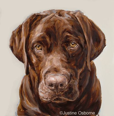 modern labrador portrait Chocolate Lab Watercolor, Chocolate Lab Painting, Lab Painting, Choc Lab, Labrador Portrait, Brown Lab, Labrador Dogs, Lab Art, Brown Labrador