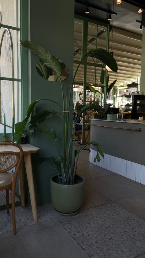 A picture of Kakule Kahve in Ankara is a very cute aesthetic cafe, it’s filled with plants and cute decor, all the shades of green are really relaxing. Cafe Green Aesthetic, Green Cafe Aesthetic, Cafe Plants, Aesthetic Place, Green Cafe, Aesthetic Cafe, Cute Decor, Plant Aesthetic, Cute Aesthetic