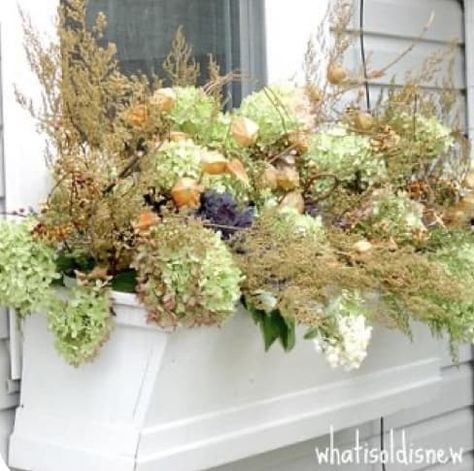 Fall Flower Boxes, Autum Decorations, Upstairs Balcony, Fall Porches, Flower Combinations, Painted Porch, Fall Window Boxes, Autumn Window, Fall Yard