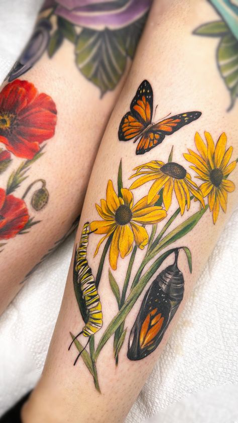 Life Cycle Tattoo, Cycle Tattoo, Monarch Tattoo, Monarch Butterfly Tattoo, Snow Flake Tattoo, Arm Tats, Poppies Tattoo, Moth Tattoo, Botanical Tattoo