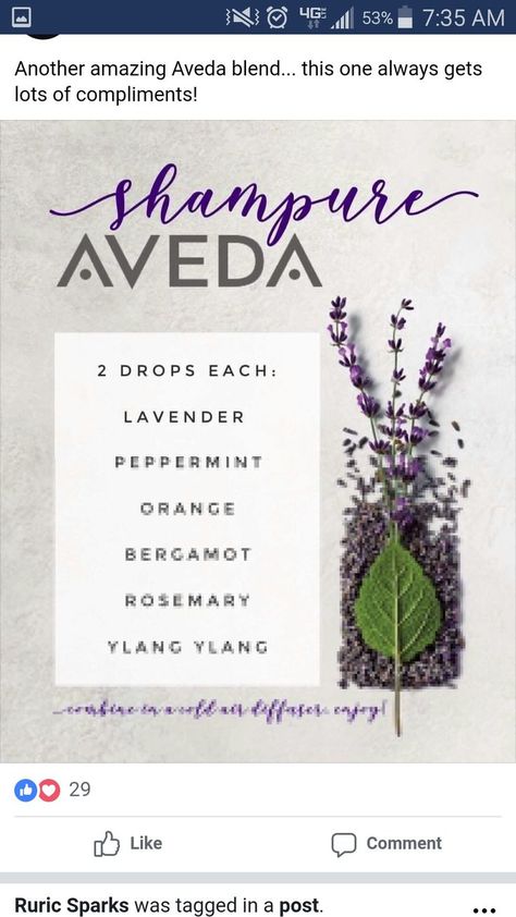 Aveda shampure diffuser blend Essential Oil Diffuser Blends Recipes, Be Calm, Yl Essential Oils, Essential Oil Diffuser Recipes, Oil Diffuser Recipes, Essential Oil Mixes, Essential Oil Blends Recipes, Living Essentials Oils, Diffuser Recipes