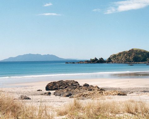 Tawharanui, NZ.   my grandson lived here for six months and never sent me a… Tawharanui New Zealand, My Grandson, White Cloud, South Island, School Holidays, Architecture Project, Special Places, Dream Destinations, Auckland