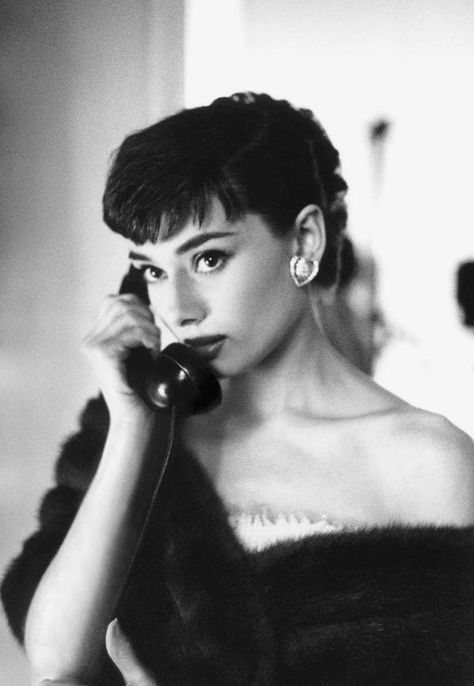 Young Audrey Hepburn in Black is listed (or ranked) 30 on the list 30 Pictures of Young Audrey Hepburn Aubrey Hepburn, Audrey Hepburn Photos, Toni Garrn, Audrey Hepburn Style, Hepburn Style, Lauren Bacall, Lily Aldridge, On The Phone, Mode Chic