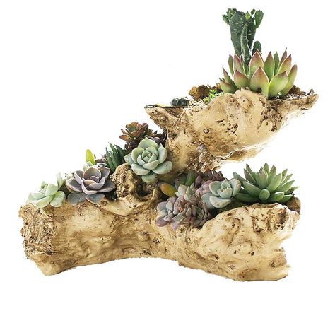 PRICES MAY VARY. ❤ This faux driftwood planter is made of resin (NOT WOOD), durable and sturdy. There are two drainage holes at the bottom of the pot to keep your plants healthy. ❤ 11 x 6.3 x 7 inch (L x W x H) ~NO Plants and Decorations~ ❤ This irregular shape log planter goes well with small succulents, cactus and air plants. It can be used as both a flower pot and a decorative product, making it an unique floral arrangement and a special desk bonsai garden. Giving the beauty of the most natur Driftwood Planters, Hippie Garden, Log Planter, Unique Floral Arrangements, Cactus Planter, Indoor Outdoor Planter, Small Succulents, Charming Garden, Tree Roots