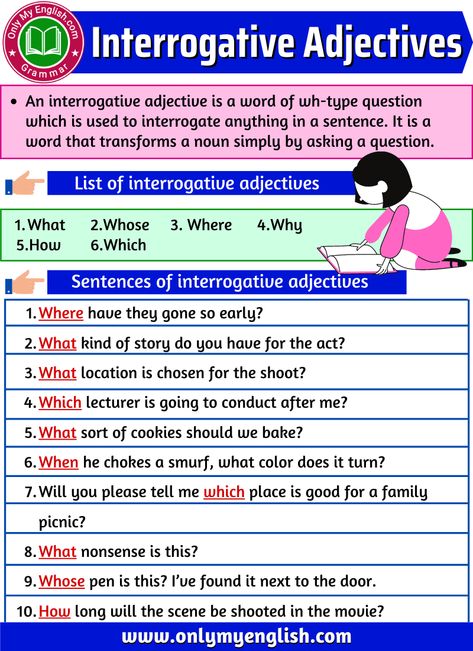 Interrogative Adjectives: Definition Examples & List Interrogative Adjectives, Adjectives Grammar, Examples Of Adjectives, Adjective Meaning, Basic English Grammar Book, Verb Examples, English Grammar Exercises, English Grammar For Kids, English Grammar Book