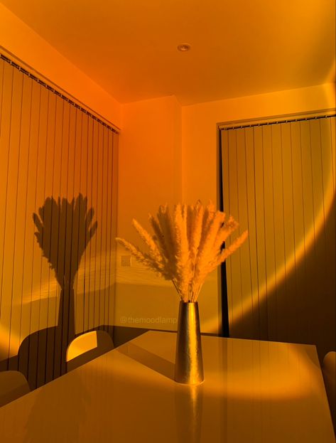 Sunset Lamp in dining room Golden Hour Lamp, Aura Bedroom, Sunset Projector, Sunset Aura, Orange Aura, Lamp Projector, Sun Lamp, Mood Lamp, Sunset Lamp