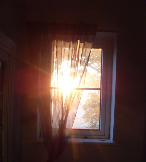 I am the rays of the Sun  dancing through the windows of every house...    Rumi....♥ Sun Streaming Through Window, Sun Window Aesthetic, Cozy Window Aesthetic, Sun Rays Aesthetic, Sun Through Window, Light Through Window, Reading Twilight, Analog Photos, Sun Window