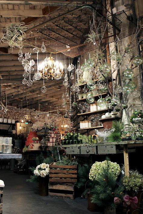 Visual Merchandising for Rolling Greens | Winter Terrarium 2013 Flower Shop Display, Display Visual Merchandising, Garden Center Displays, Flower Shop Interiors, Flower Shop Design, Visual Merchandising Displays, 카페 인테리어 디자인, Flower Shops, Deco Originale