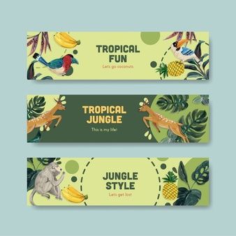 Animal Banner Design, Illustration Banner Design, Banner Ideas Design, Rainforest Facts, Billboard Template, Banner Design Ideas, Tropical Contemporary, Bunting Design, Banner Illustration