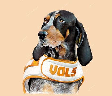 Tennessee Mascot, Tennessee Wall Art, Football Paintings, Ut Football, Blue Tick, Tennessee Volunteers Football, Tn Vols, Go Vols, Tennessee Vols