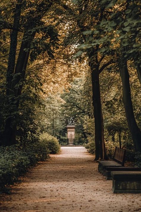 "🌲🇩🇪 Explore Berlin’s Tiergarten, a vast urban park filled with lush greenery, serene paths, and historic landmarks. Perfect for a relaxing stroll or a picnic. 🌳🚶‍♂️ #Tiergarten #Berlin #UrbanGreenSpace" Urban Park, Lush Greenery, A Picnic, Green Space, Berlin Germany, Lush, Berlin, Germany, Green