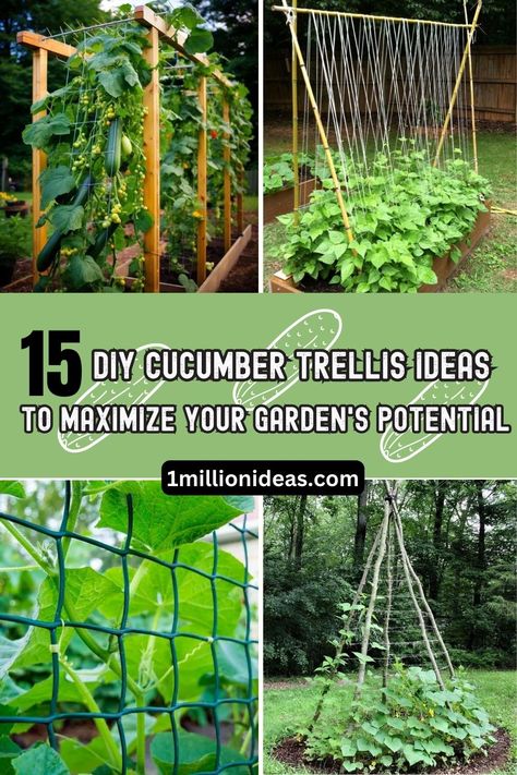 15 DIY Cucumber Trellis Ideas To Maximize Your Garden's Potential Cucumber Trellis Ideas, Planting Cucumbers, Trellis Ideas Garden, Outdoor Trellis Ideas, Pallet Trellis, Squash Trellis, Growing Cucumbers Vertically, Cucumber Trellis Diy, Teepee Trellis